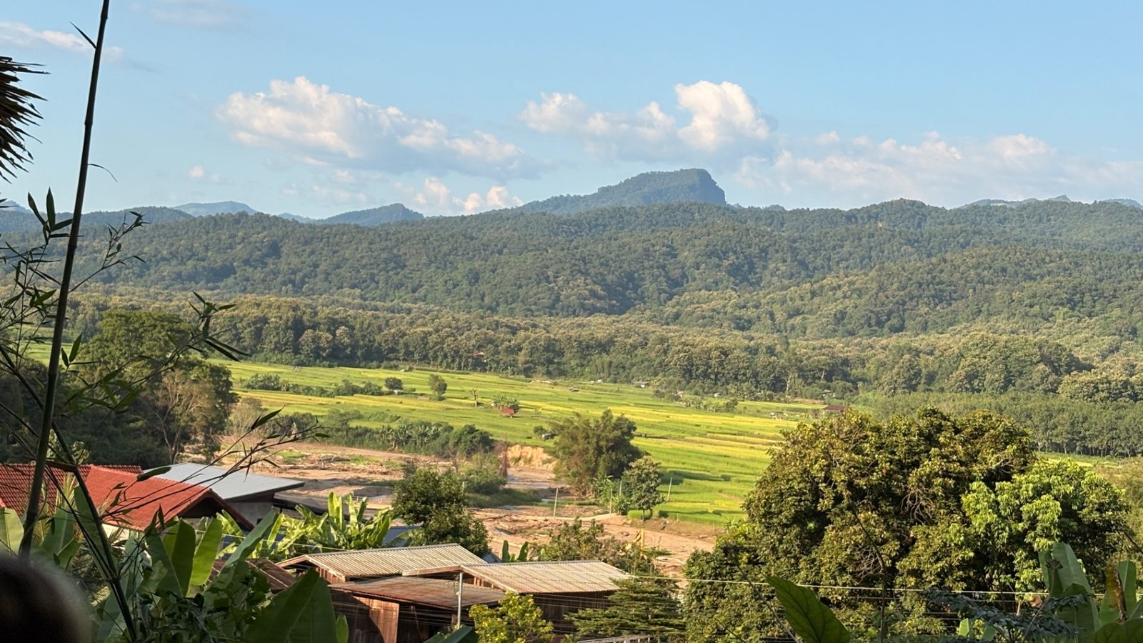 Coffee farms and community in Nan, Thailand — photo 3